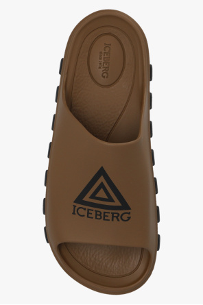 Iceberg Slides with logo