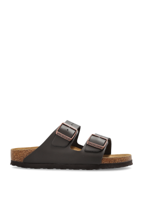 Slides Arizona BS