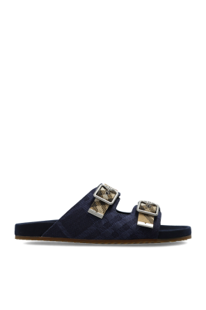 ‘Urchin’ slides