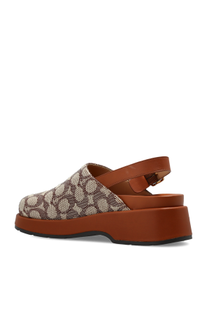 Coach "Sclpt" shoes on platform