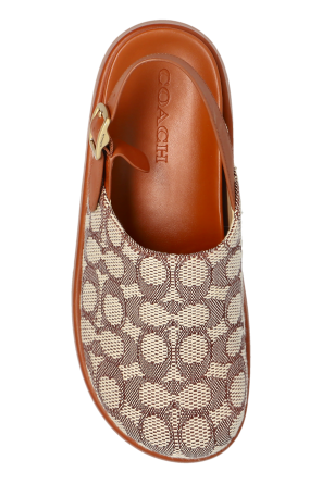 Coach "Sclpt" shoes on platform