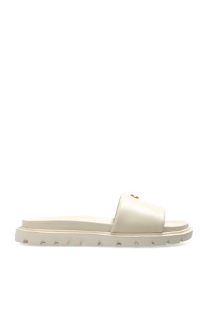 'Brynn' slides