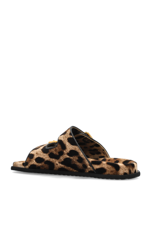 Dolce & Gabbana Chanclas con estampado animal