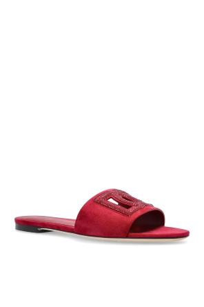 Dolce & Gabbana Logo slides