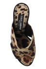 Dolce & Gabbana beige Heeled Slippers