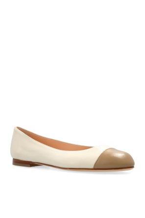 AGL Ballerinas Milly