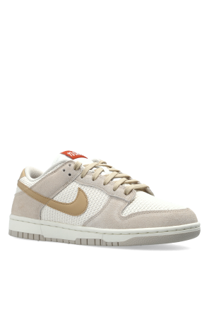 Nike "Dunk Low" sports shoes