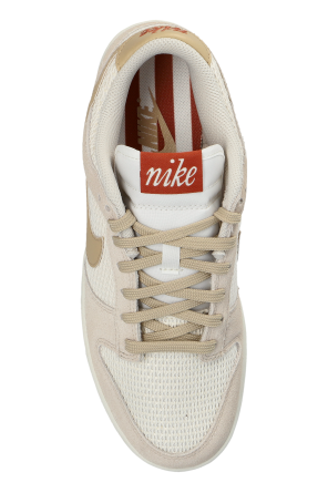 Nike "Dunk Low" sports shoes