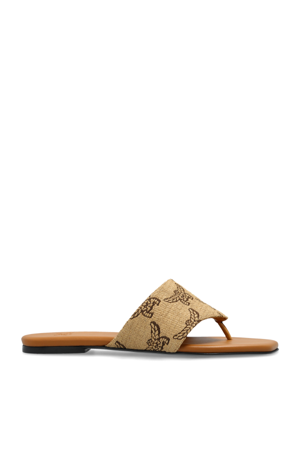 Monogram slides od MCM