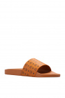 MCM BROWN Slides with logo