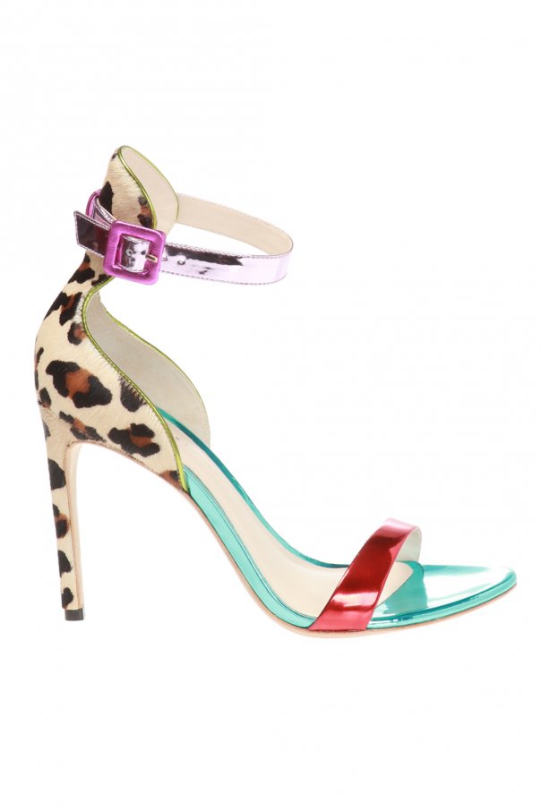 sophia webster nicole