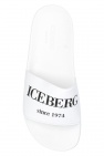 Iceberg Slides with logo