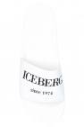 Iceberg Slides with logo