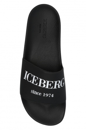 Iceberg Slides with logo