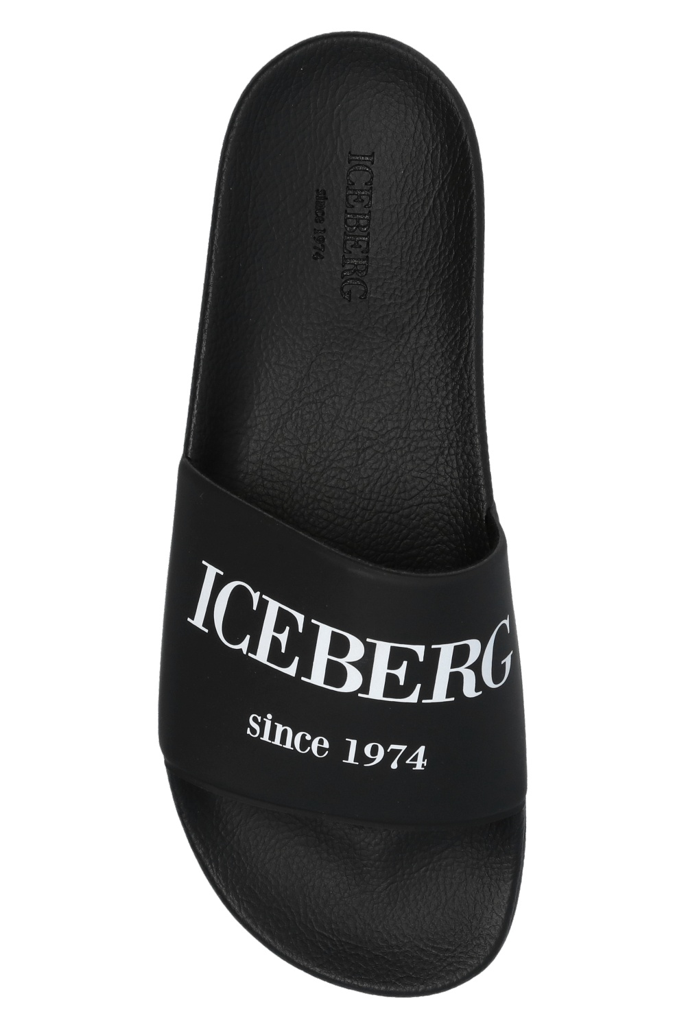 Iceberg Slides with logo