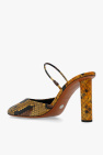 Proenza Schouler Pumps with animal motif