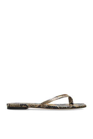 Renee slides