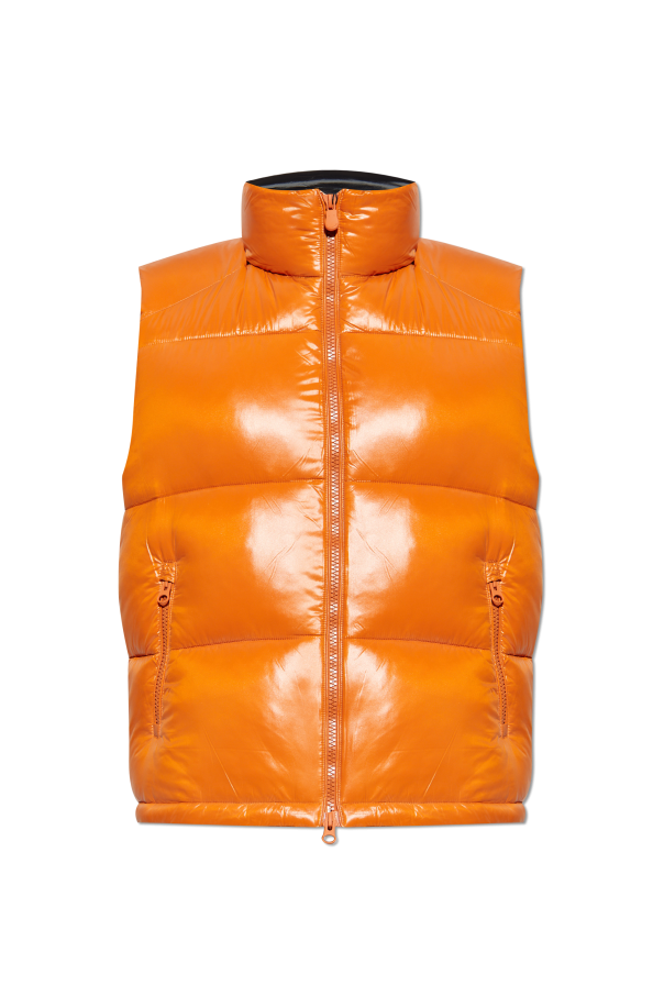 Insulated jacket "Ailantus" od Save The Duck