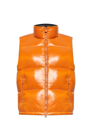 Gefütterte Jacke „Ailantus“