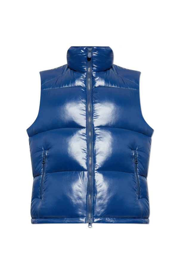 Insulated jacket "Ailantus" od Save The Duck