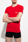 Emporio Armani MULTICOLOUR Branded T-shirt two-pack