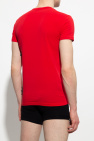 Emporio Armani MULTICOLOUR Branded T-shirt two-pack