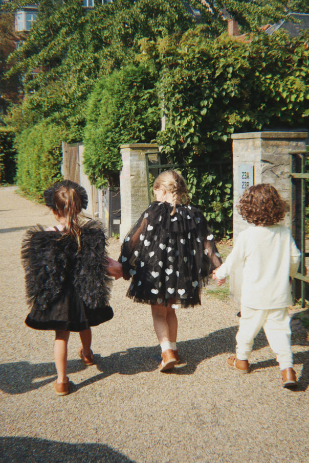 Konges Sløjd Hexenumhang