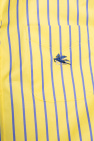 Etro Striped shirt