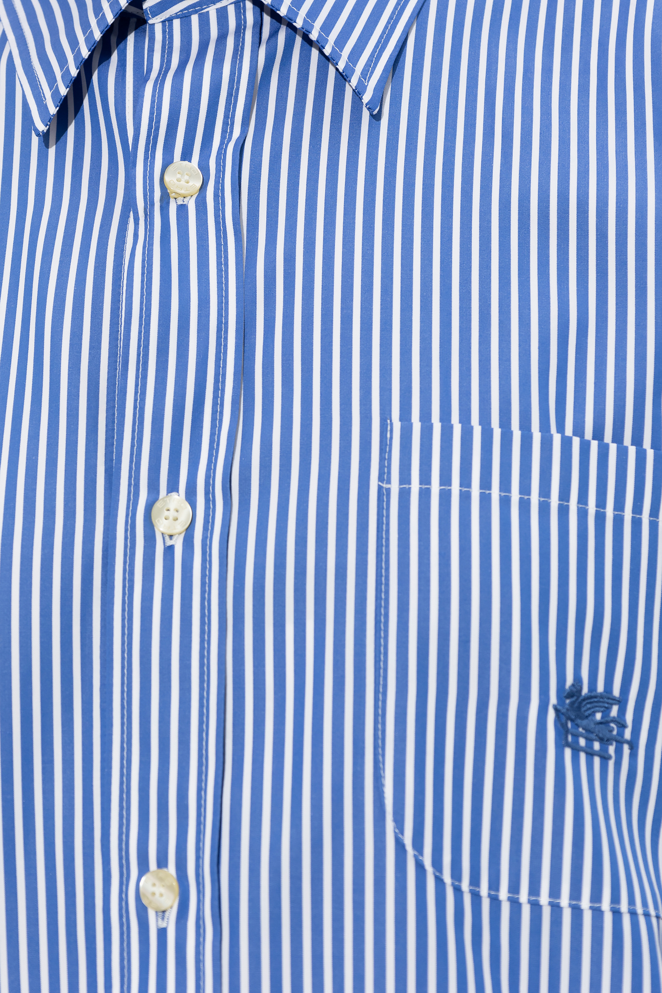 Etro Striped shirt