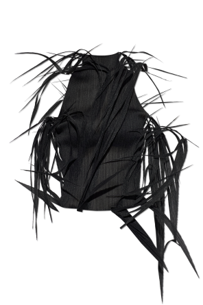 Pleated top with fringes