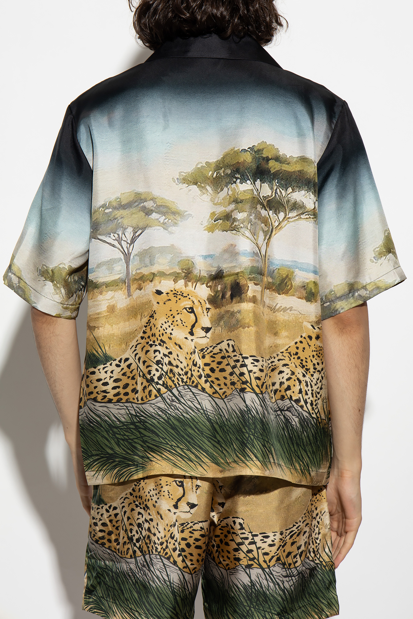 Tiger Print Silk Shirt in Multicoloured - Ferragamo