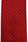 Lanvin Polka dot pinstriped tie