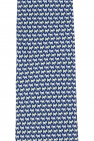 Salvatore Ferragamo Printed tie