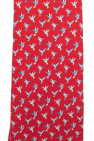 Salvatore Ferragamo Printed tie