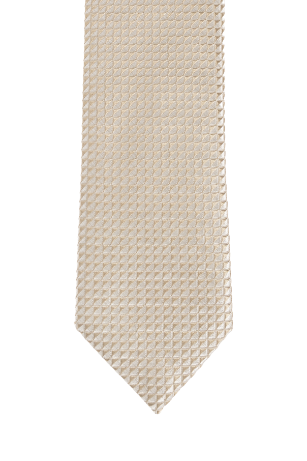 Emporio Armani Silk tie