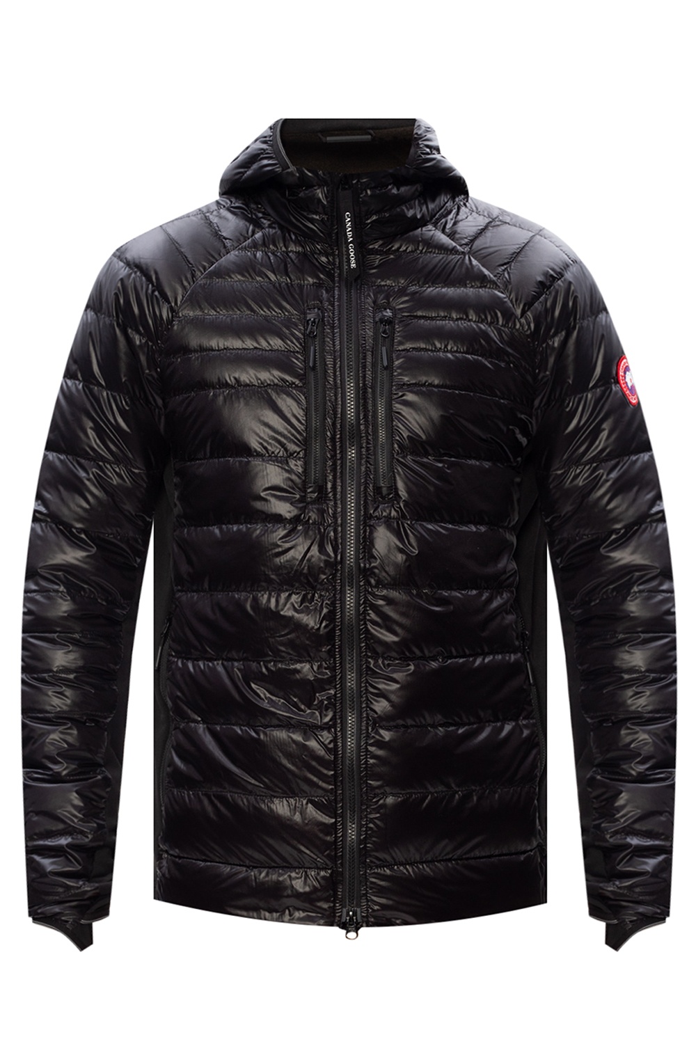 nobis canada goose