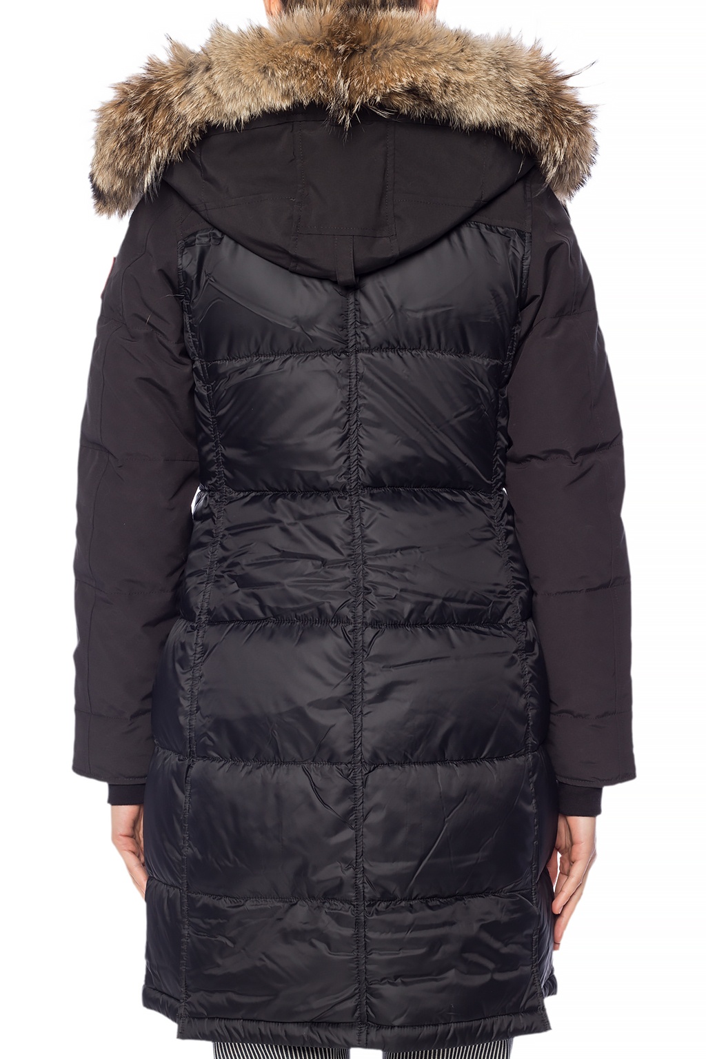 canada goose rowley