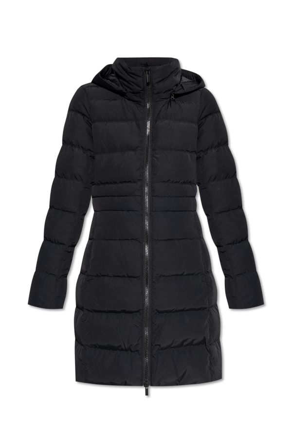 Canada Goose Down Jacket Aurora