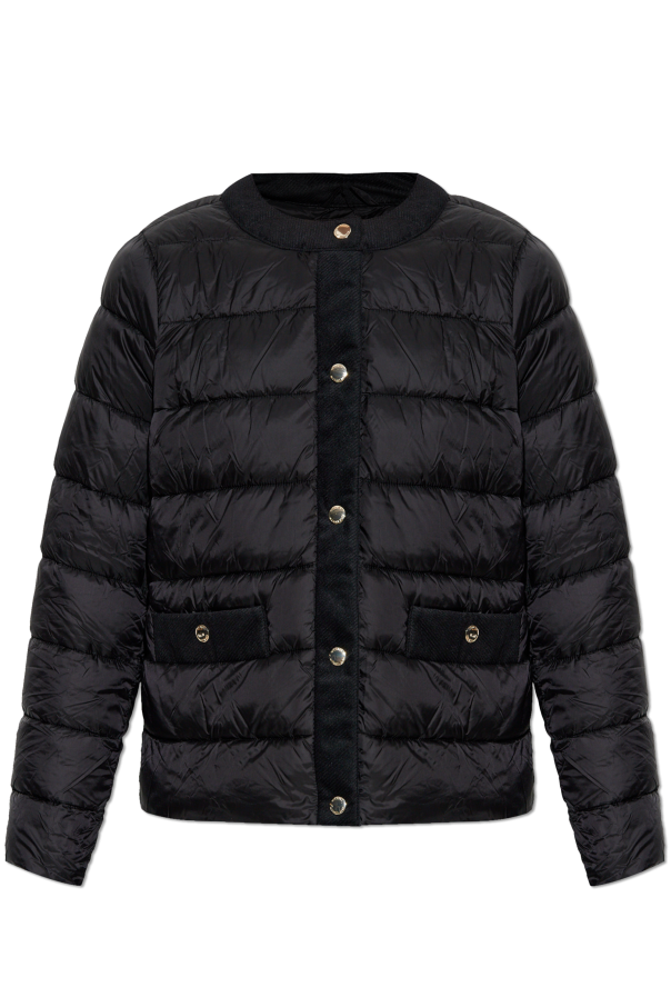 Insulated jacket, zdjęcie 1 Insulated jacket od Michael Michael Kors