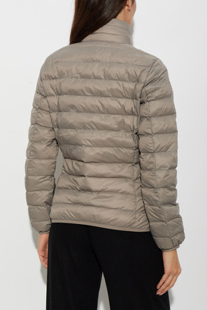 EA7 Emporio Armani Insulated Jacket with Stand-Up Collar