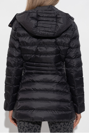 EA7 Emporio Armani Insulated jacket with logo