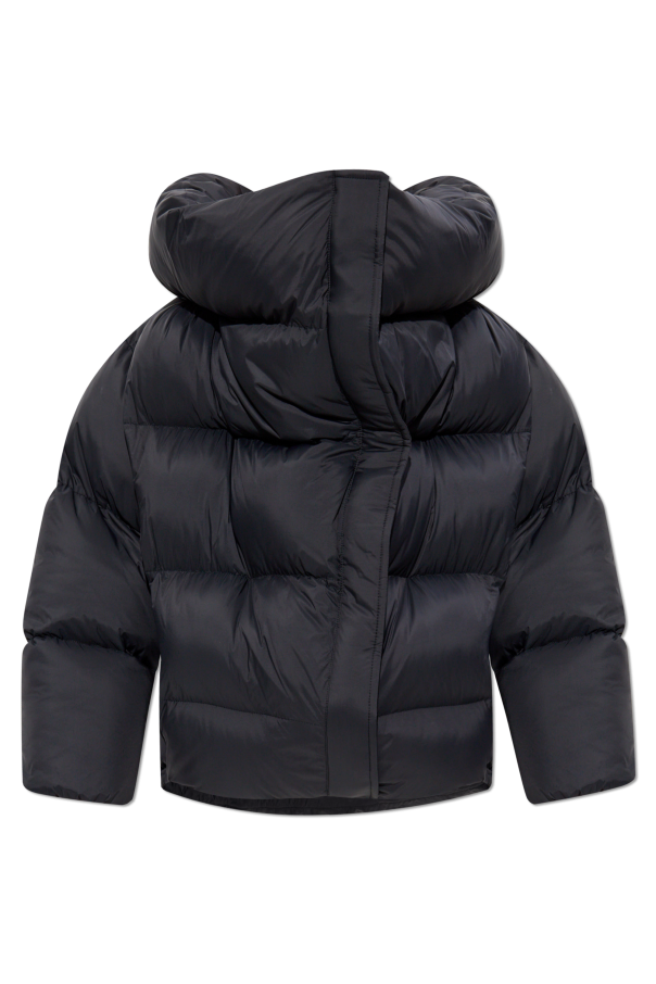 Insulated jacket, zdjęcie 1 Insulated jacket od Balenciaga