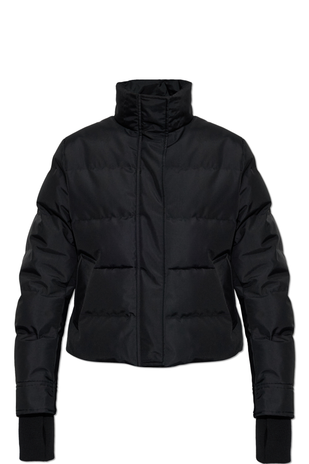 Insulated jacket od Alexander McQueen