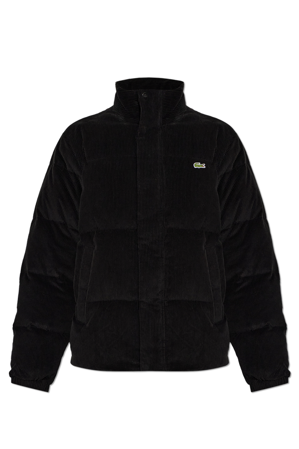 Quilted jacket with logo patch od Lacoste