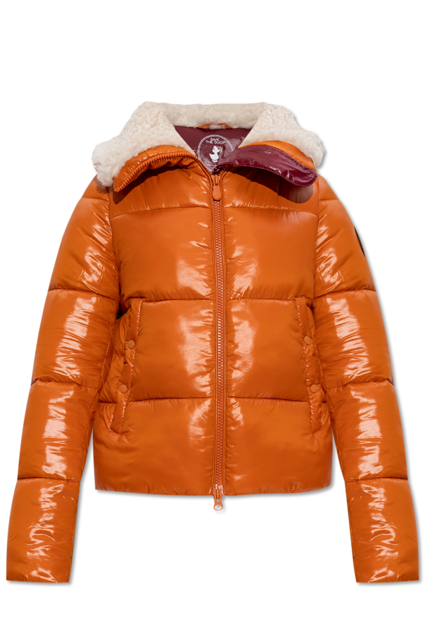 Insulated jacket `Moma` od Save The Duck