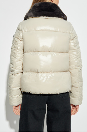 Save The Duck Insulated jacket Moma