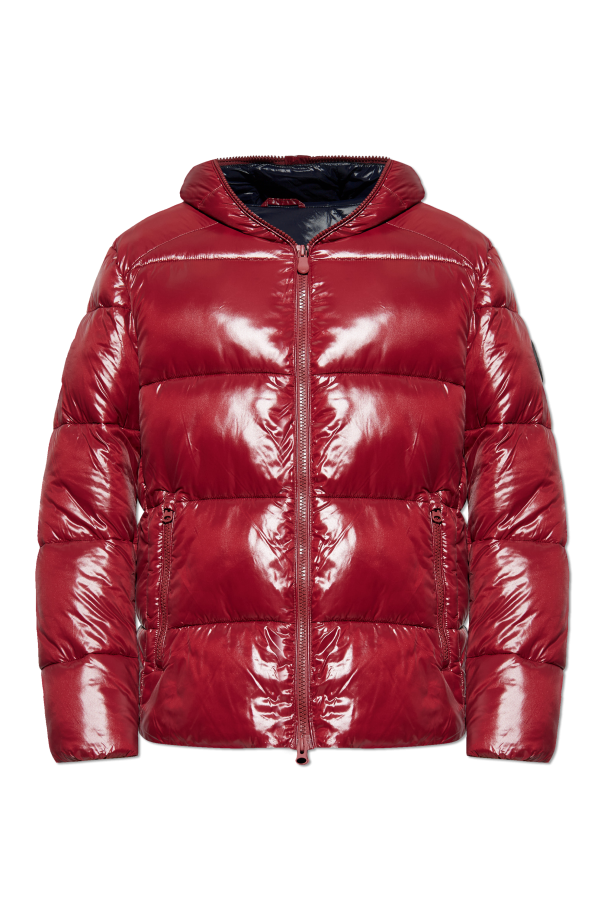 Insulated jacket "Edgard" od Save The Duck