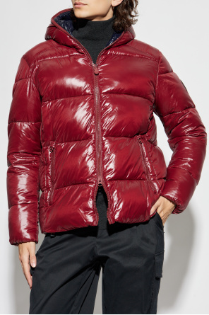 Save The Duck Gefütterte Jacke „Edgard“