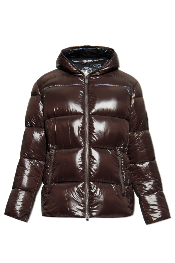 Save The Duck Padded jacket ‘Edgard’