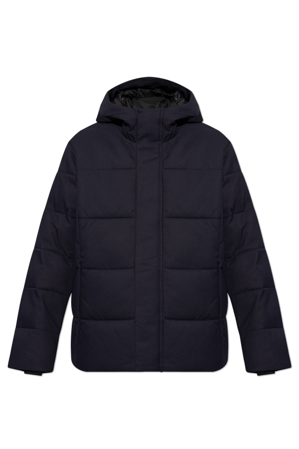 Save The Duck Insulated jacket Finnian